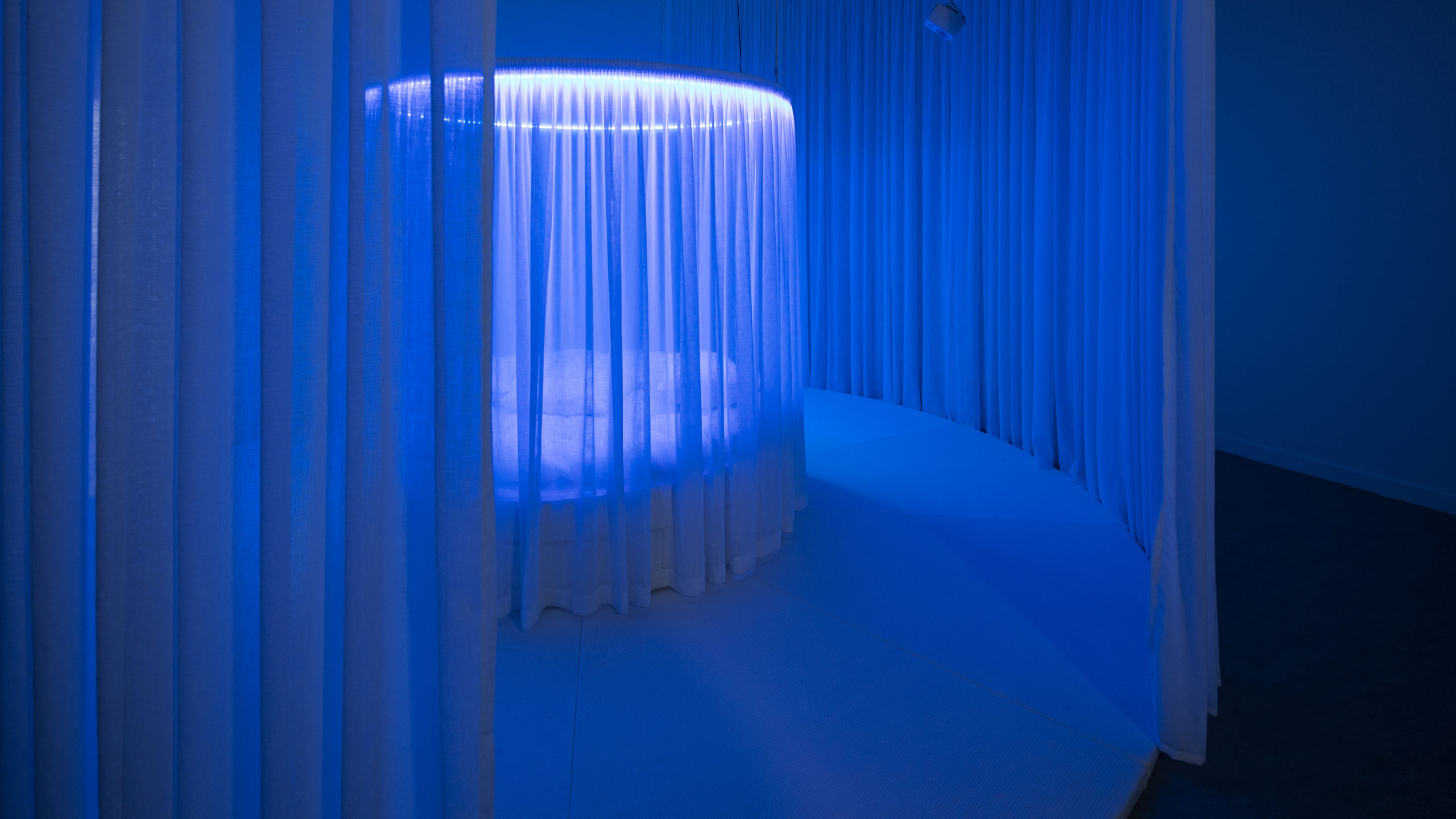 circular bed with curtain surrounded by a larger area of circular curtains bathed in blue light