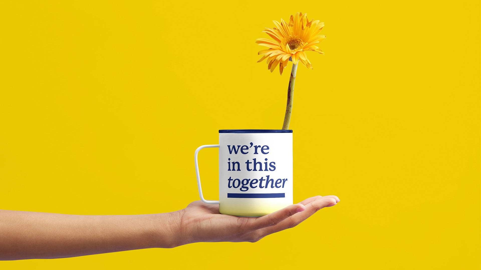 See Saw visual of a flower in a cup on the palm of a hand, with cup design that reads "we're in this together"