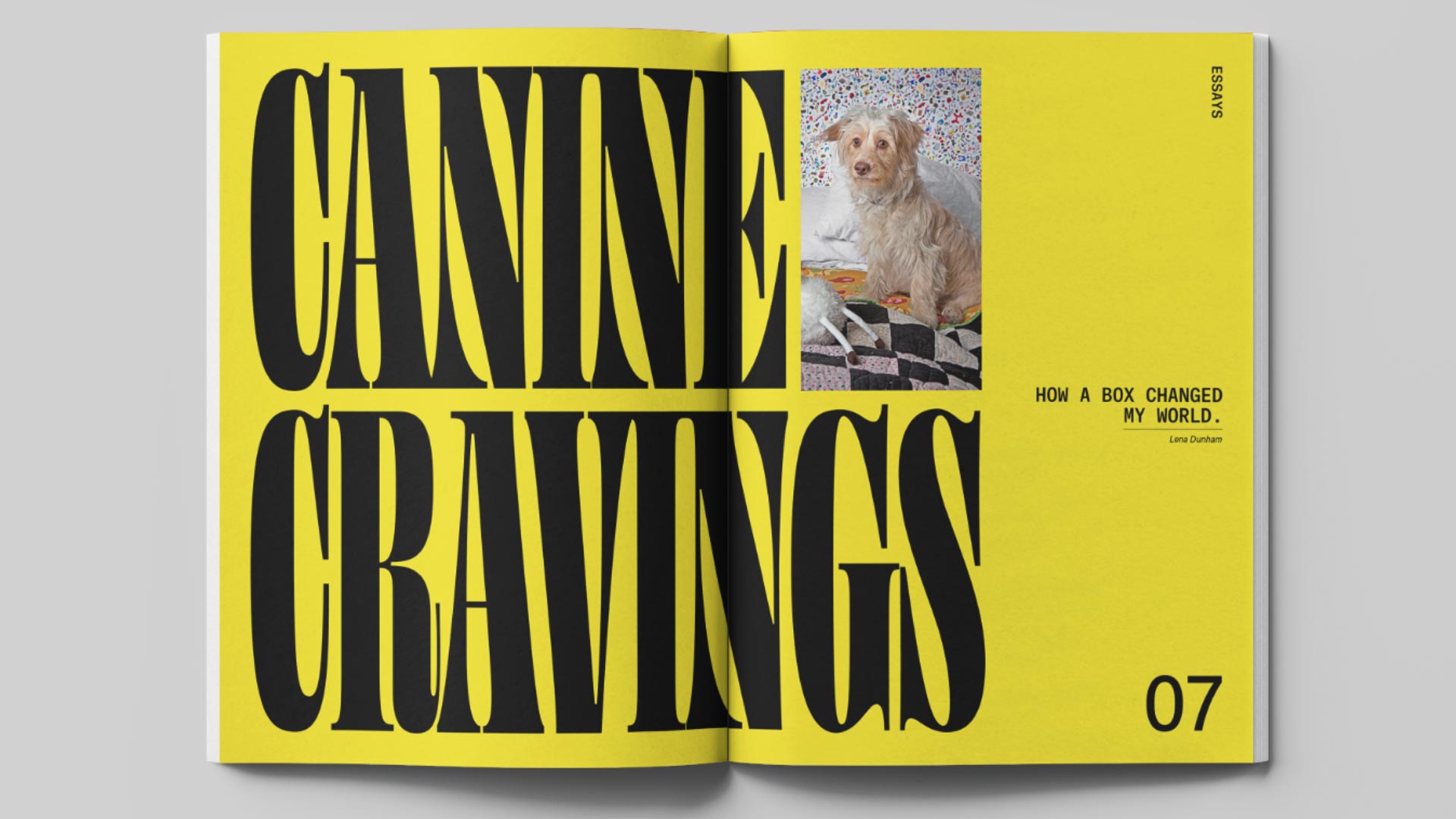 zra Lee magazine design - Wag & Bone - canine cravings