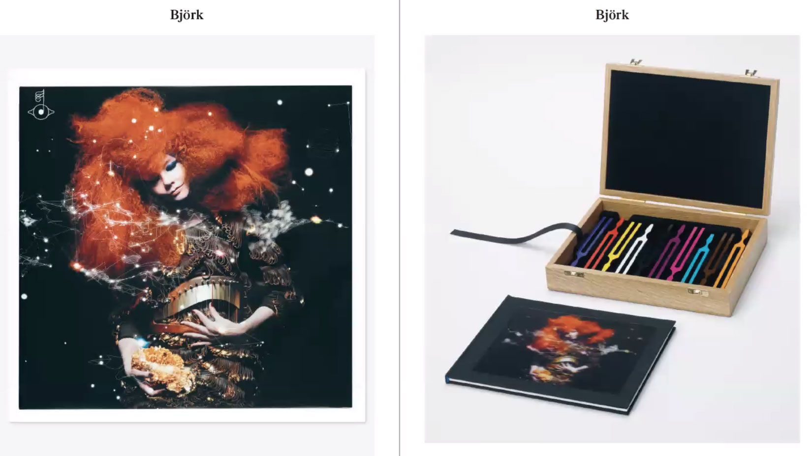 bjork photo and book