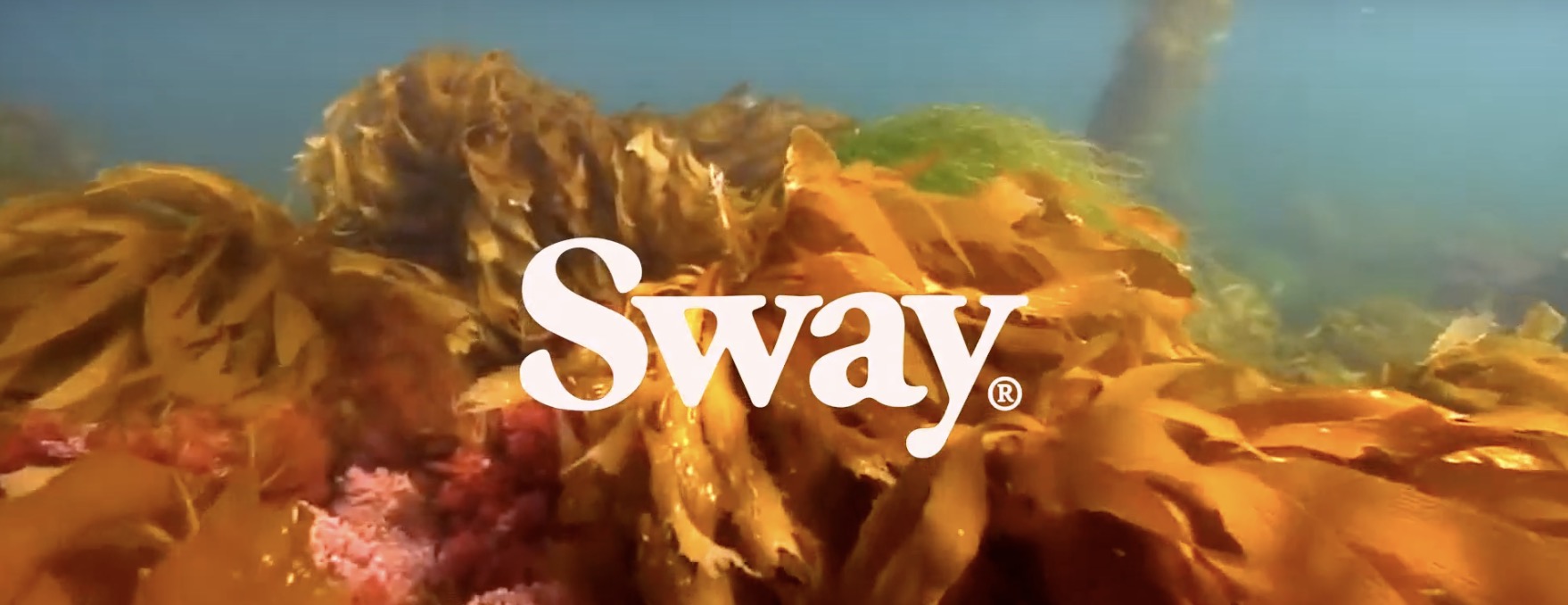 seaweed with Sway title on top