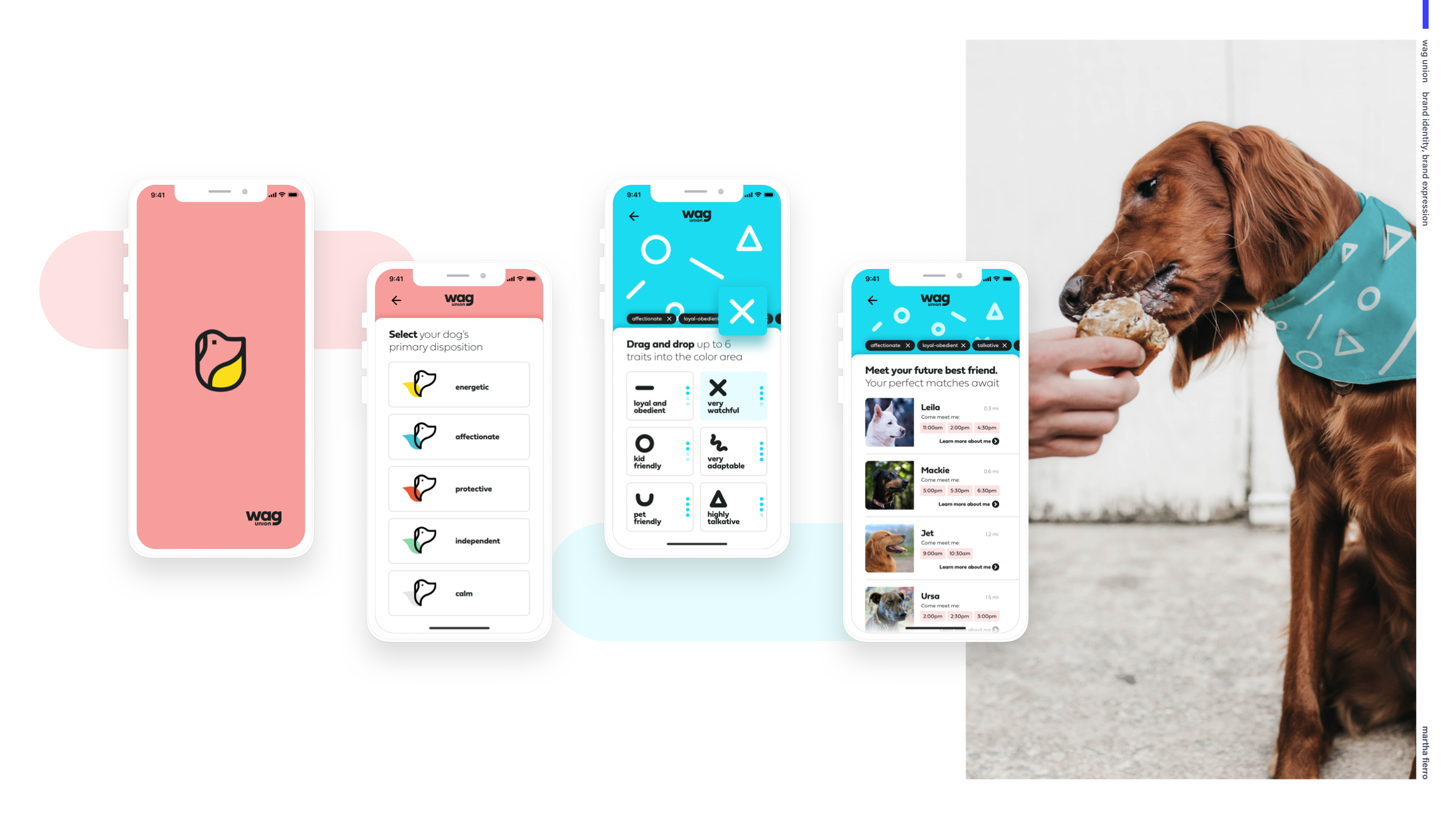 A set of mobile phone templates for a dog app and a photo of a dog wearing a cyan scarf while eating something from someone.
