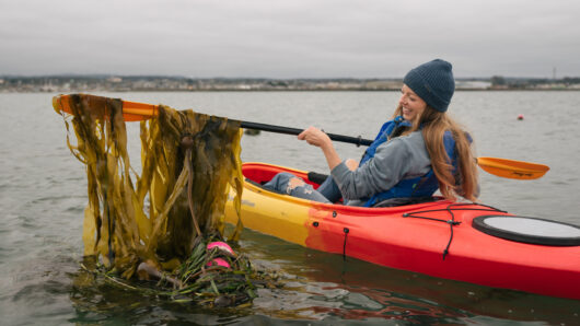 woman inside in a kayak showing seaweed in the boat paddle inside water