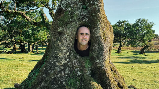 Man inside tree hole