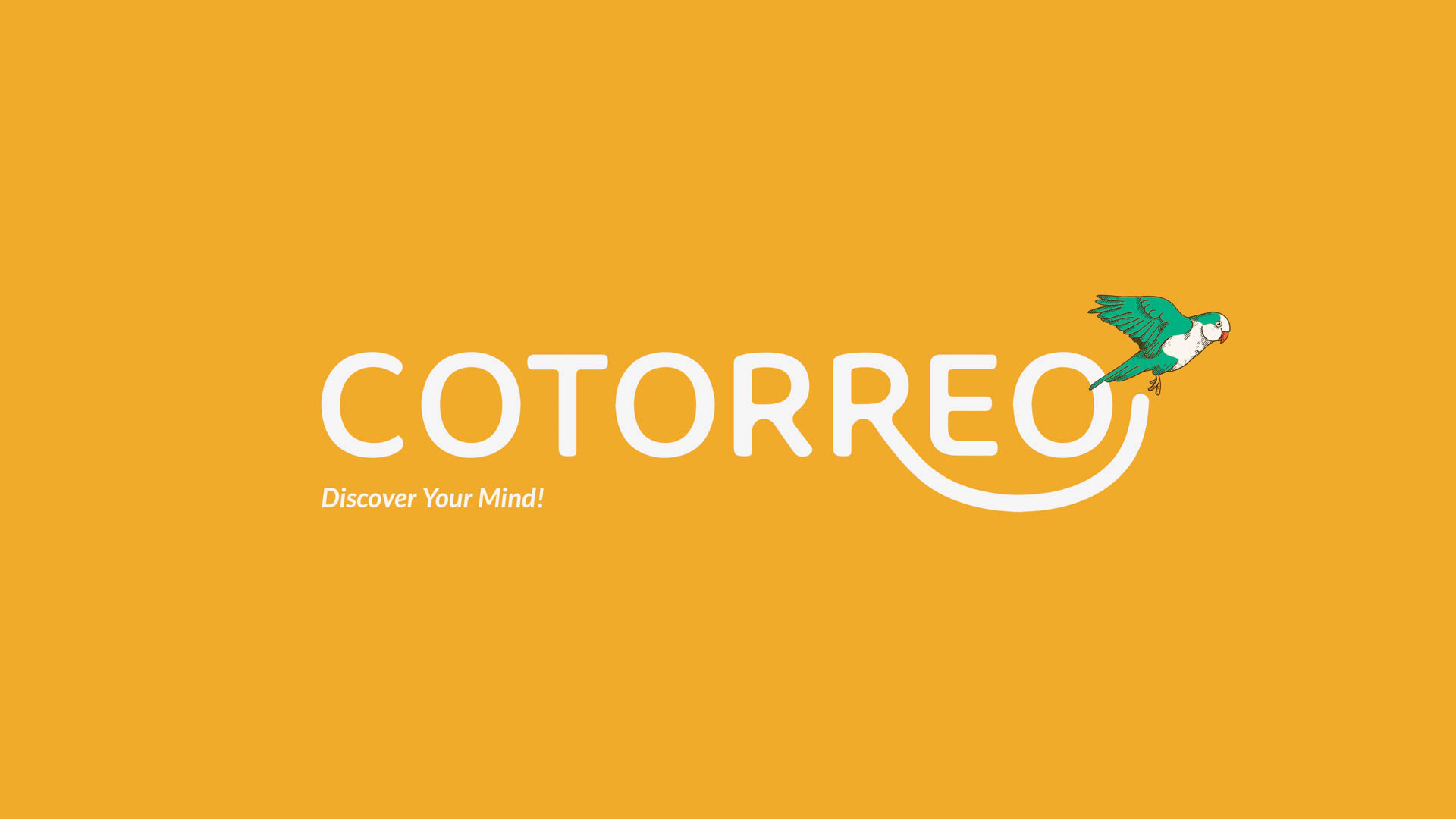 Cotorreo app logo design with orange background