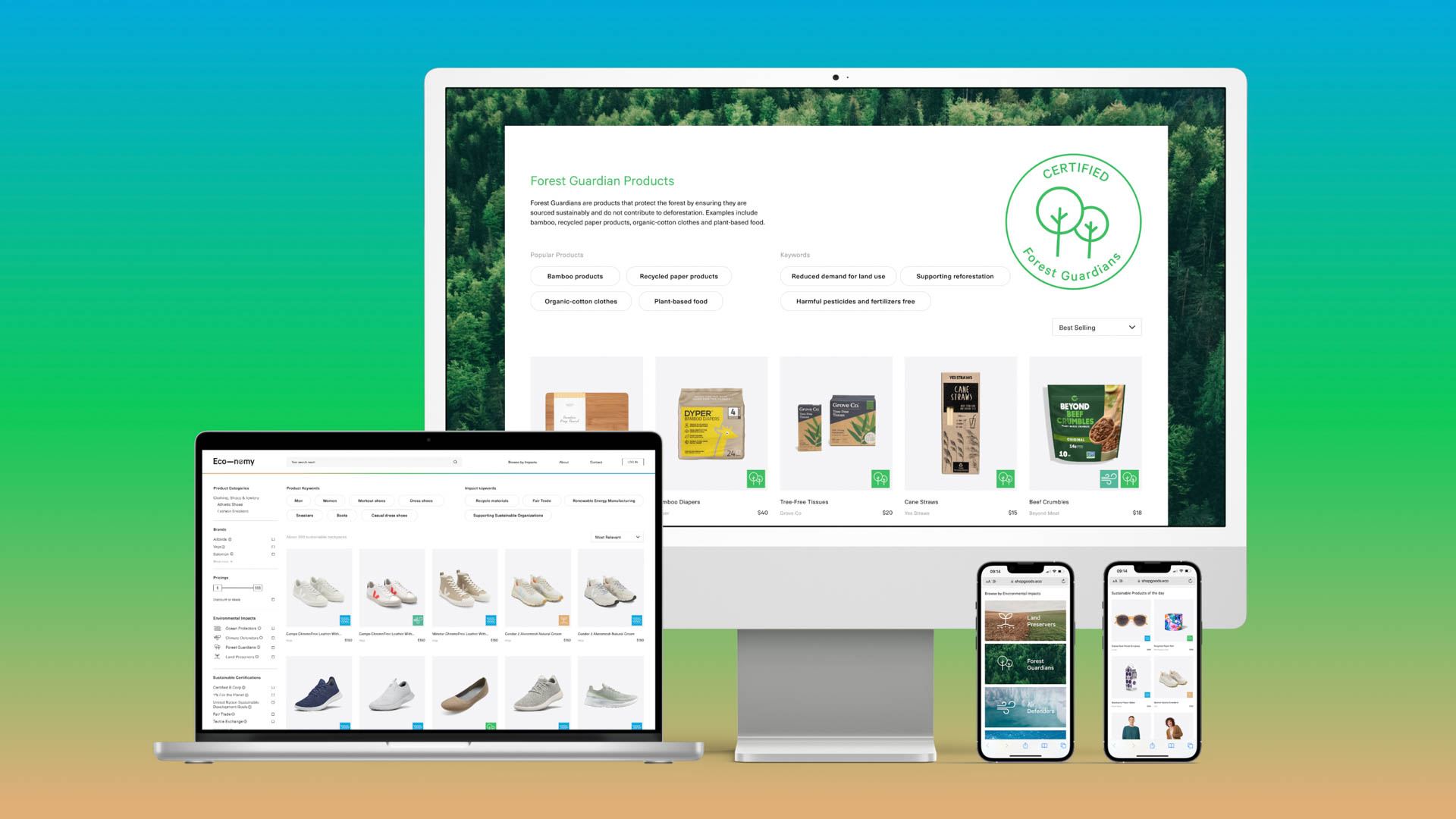 Eco-nomy website showing on laptop, desktop and mobile phone