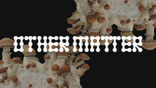 The brand Othermatter logo with mushrooms in the background