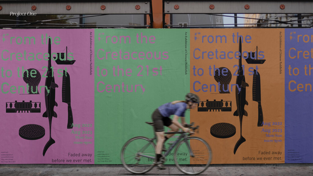 person biking past colorful posters