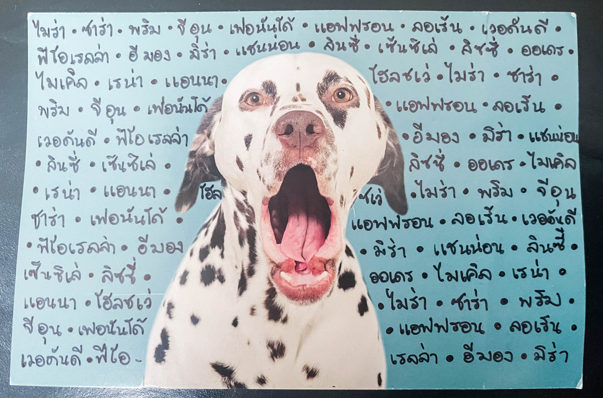paper with script and photo of dalmation dog