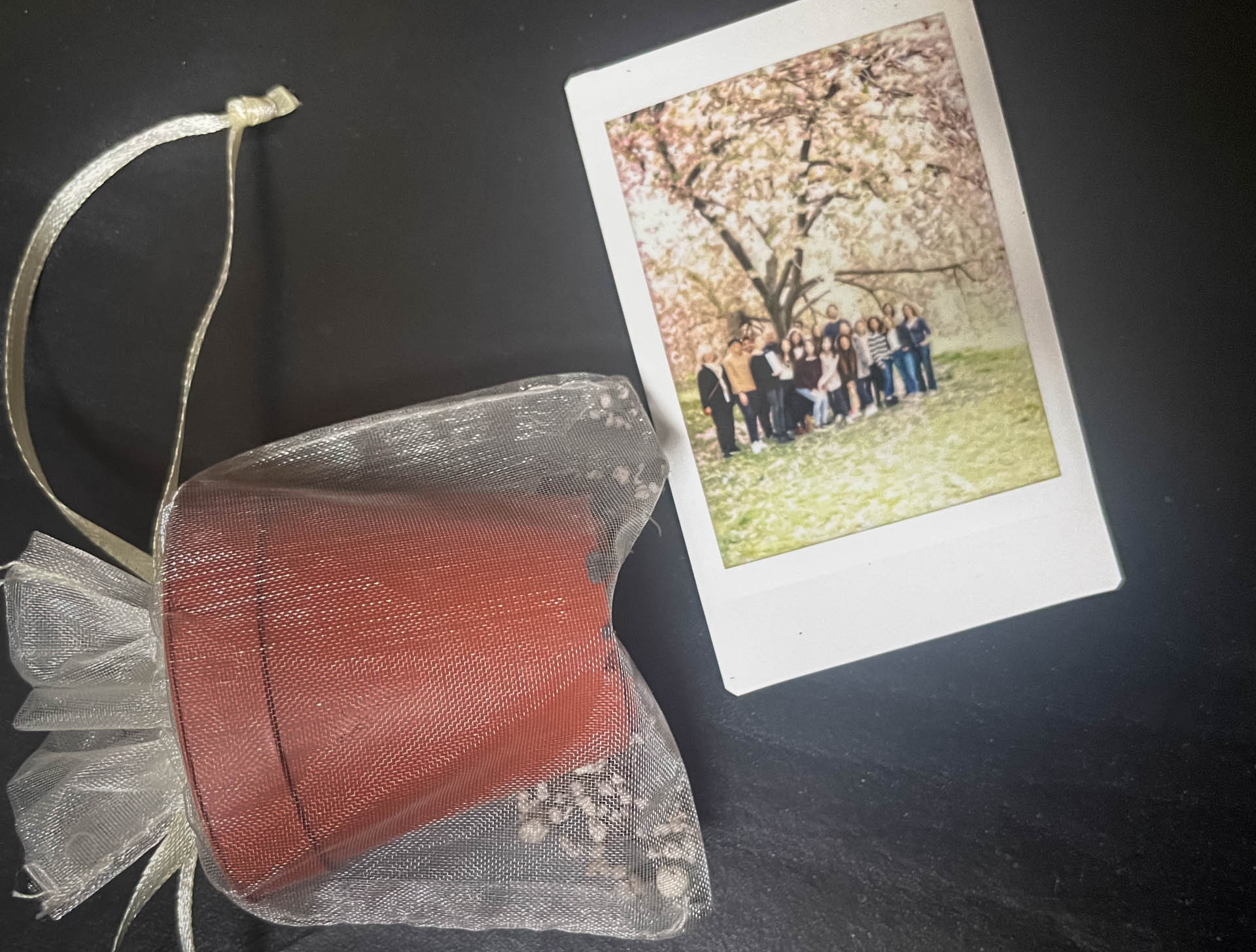 a small pot for plants and a polaroid photo of a group of students