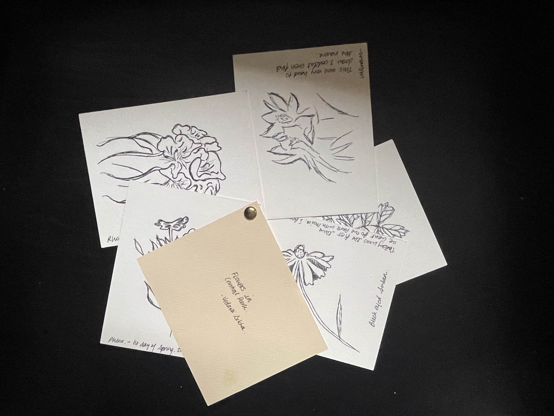 papers with illustrations of flowers