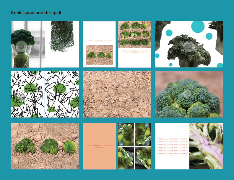 multiple images of broccoli and dirt along with drawings