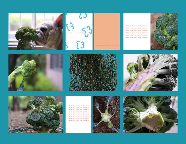multiple different images of broccoli with illustrations and text