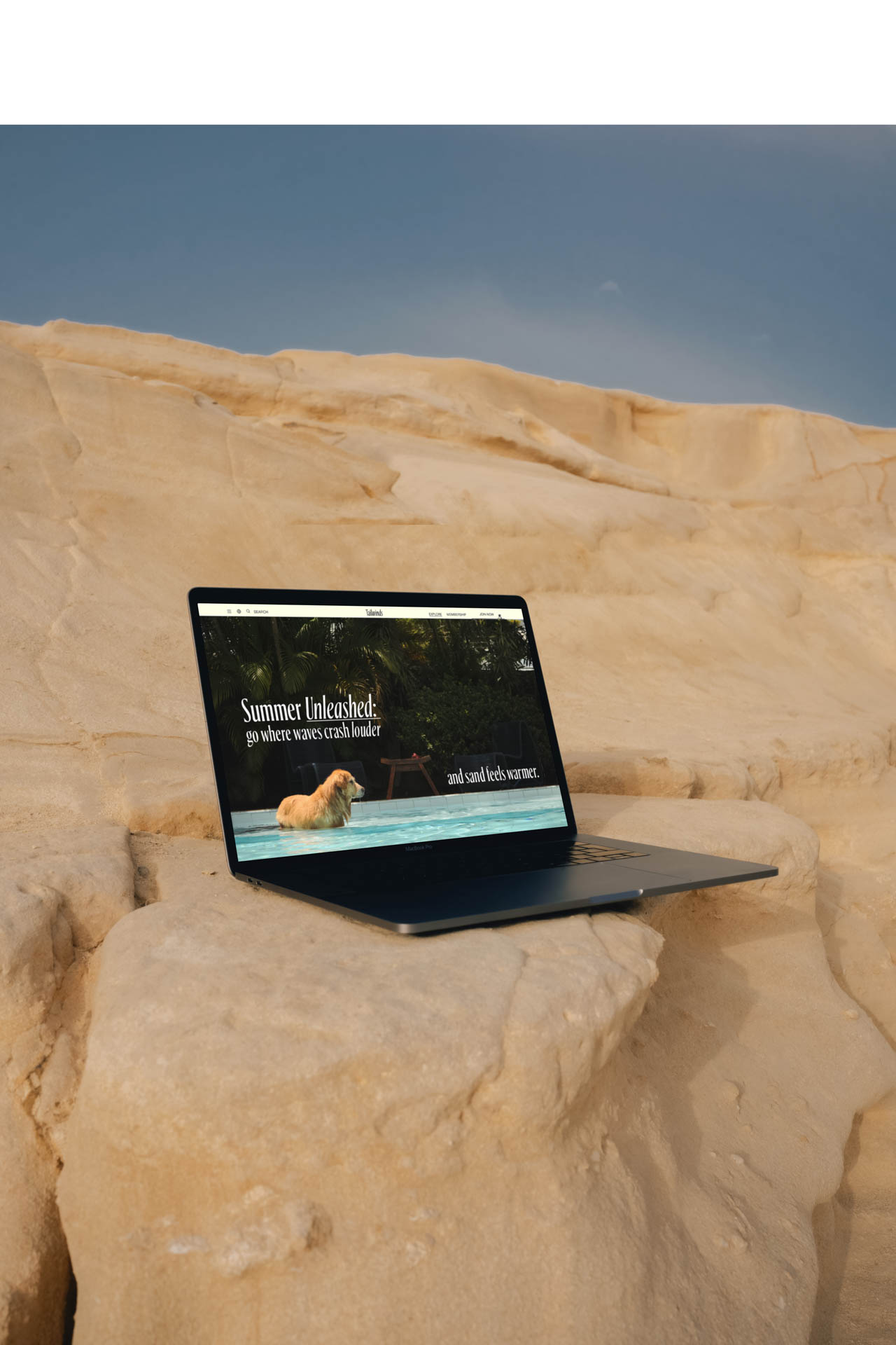 an open laptop on a rock. On the screen is a dog in the water