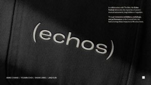a wordmark that says Echos