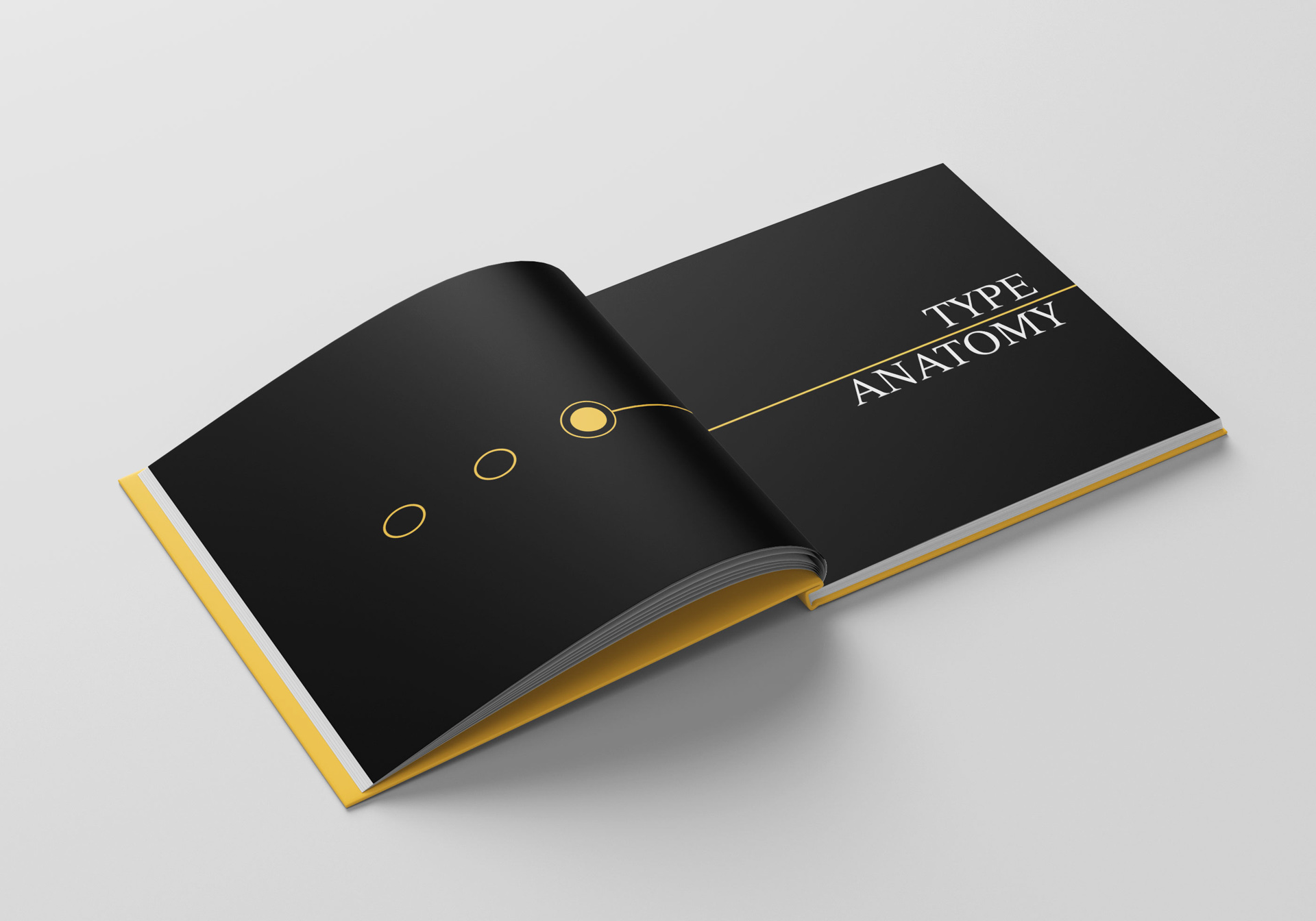 book open to a spread mostly black with the words Type and anatomy