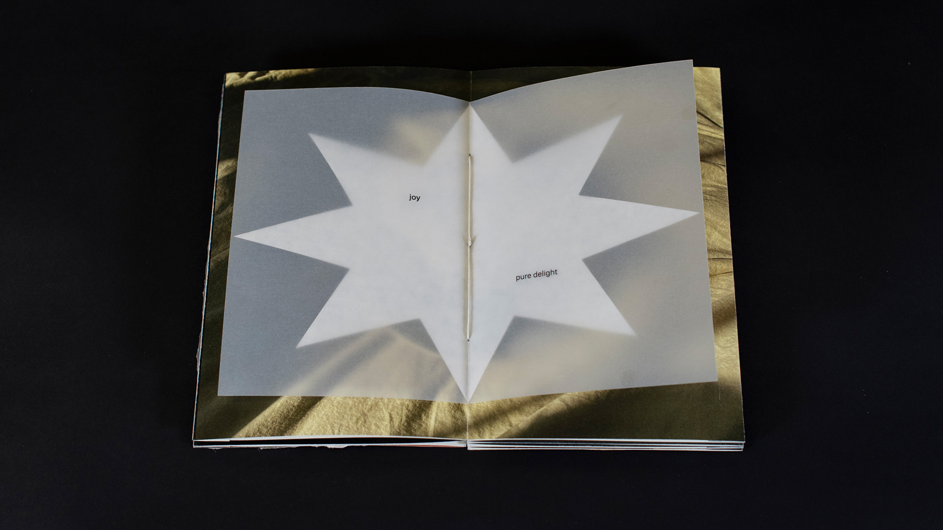 book on black background open to page with a star illustration
