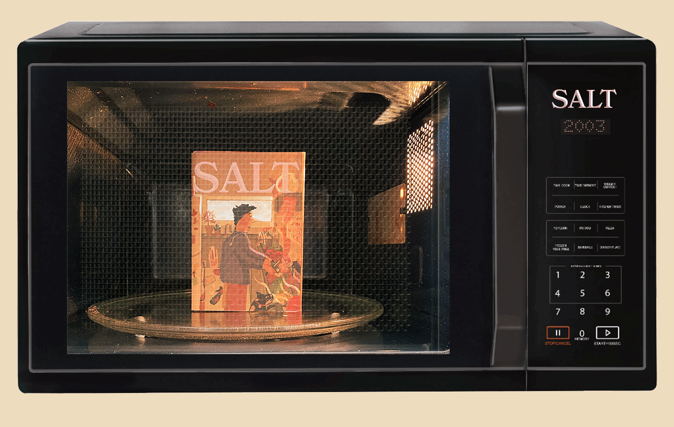 a microwave with a zine inside it called Salt
